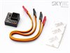 SkyRc Bilgyro GC301