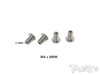 T-Work`s 64 Titanium Down Stop Screws M3 x 8,0mm (4)